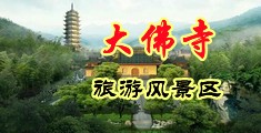 插bb资源网站免费观看中国浙江-新昌大佛寺旅游风景区